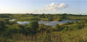 Kings Dyke Nature Reserve