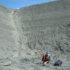 Come Fossil Hunting at Kings Dyke Nature Reserve, Peterborough