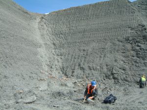 Kings Dyke Pit near Peterborough. Credit: UK Fossil Network.