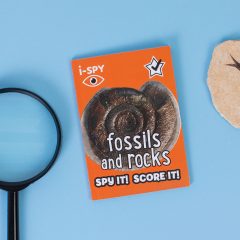 Win a copy of i-SPY Rocks and Fossils!