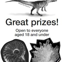 Download the Rockstar Young Geologists’ Competition 2023 Entry Form Today