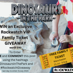 Win a FREE Family Ticket to Dinosaurs in the Park!