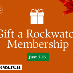 Gift a Rockwatch Membership – Only £15 for a Family!