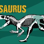 Meet a Megalosaurus - FREE Open Day