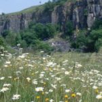 Rockwatch Field Trip to the Miller's Dale, Peak District - FULLY BOOKED!