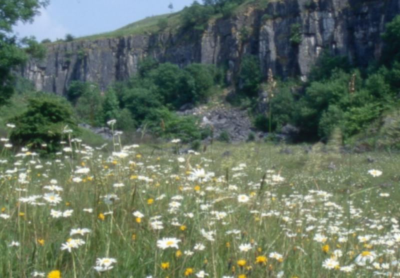 Rockwatch Field Trip to the Miller's Dale, Peak District - FULLY BOOKED!