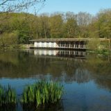 Exploring Carboniferous Limestone: Join Our Rockwatch Field Trip!