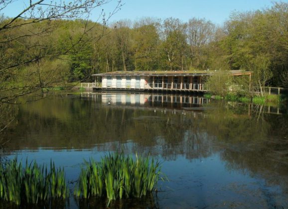 Exciting News! Repeat Visit to Somerset Earth Science Centre