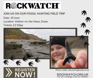 Rockwatch field trip to Walton-on-the-Naze in Essex on 16 June 2024