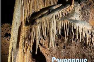 Issue 96 of the Rockwatch Magazine: published April 2024