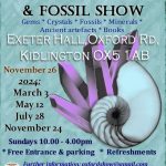 Oxford Mineral & Fossil Show - November 2024