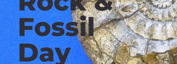 Join Rockwatch at Discover Bucks Museum this Bank Holiday!