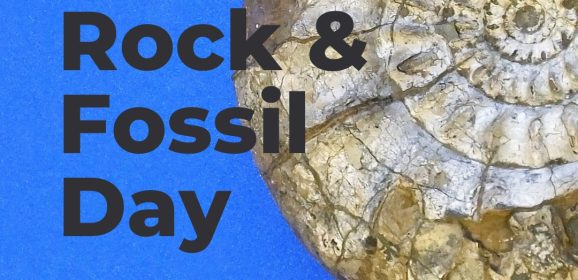 Join Rockwatch at Discover Bucks Museum this Bank Holiday!
