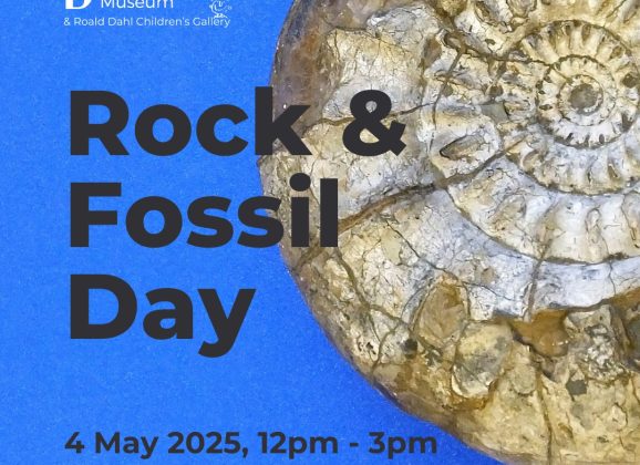 Join Rockwatch at Discover Bucks Museum this Bank Holiday!