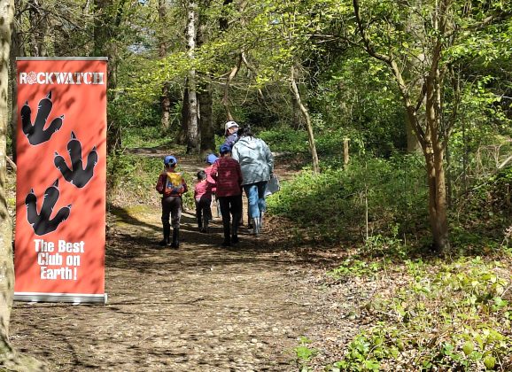 Pebble Detectives on the Case at Harrow Weald Common!