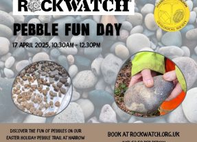 Join Rockwatch on a Special London Pebble Trail!