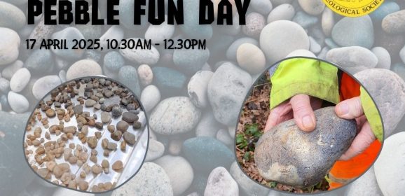 Join Rockwatch on a Special London Pebble Trail!