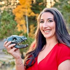 Discover the Secrets of the Past with The Fossil Keeper’s Treasure