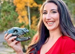 Discover the Secrets of the Past with The Fossil Keeper’s Treasure