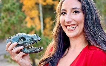Discover the Secrets of the Past with The Fossil Keeper’s Treasure