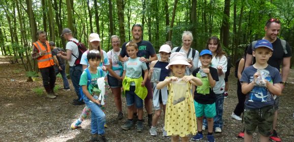 Discover the Stories Hidden in Stone at Thorndon Country Park!