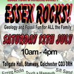 Essex Rocks - Geology & Fossil Fun Day