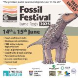 Rockwatch at the 2025 Lyme Regis Fossil Festival – Join the Fun!
