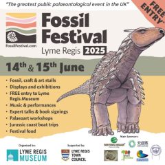 Rockwatch at the 2025 Lyme Regis Fossil Festival – Join the Fun!