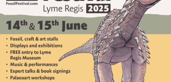 Rockwatch at the 2025 Lyme Regis Fossil Festival – Join the Fun!