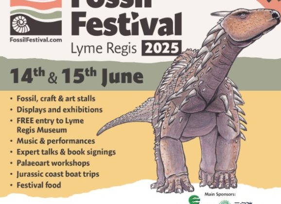 Rockwatch at the 2025 Lyme Regis Fossil Festival – Join the Fun!