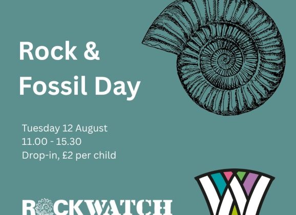 Join Rockwatch at Ware Museum for a Rock and Fossil Day