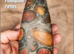 Issue 101 of the Rockwatch Magazine – Out Now!