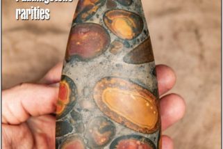 Issue 101 of the Rockwatch Magazine: published December 2025