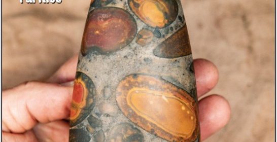 Issue 101 of the Rockwatch Magazine – Out Now!