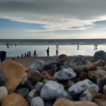 Bracklesham Bay Fossil Hunt – West Sussex