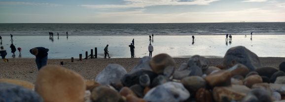 Join us for Fossil Hunting at Bracklesham Bay
