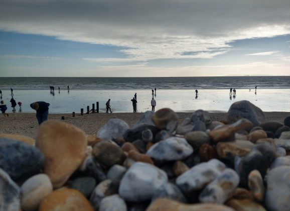 Join us for Fossil Hunting at Bracklesham Bay