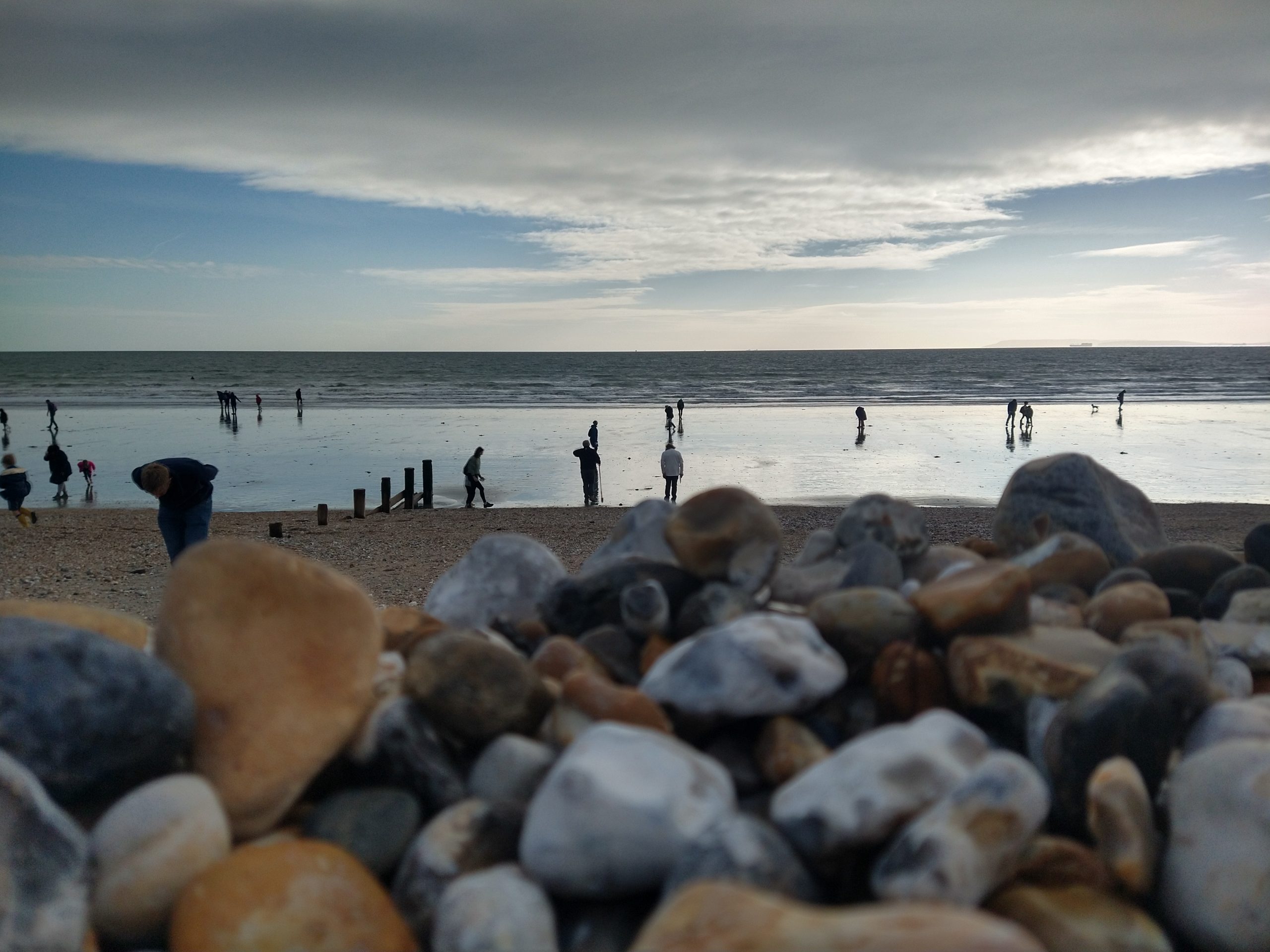 Bracklesham Bay Fossil Hunt – West Sussex