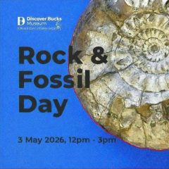 Join Rockwatch for a Day of Fossils, Fun and Discovery at Bucks Museum!