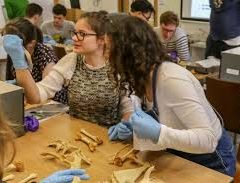 Join us Behind the Scenes at the Oxford University Museum of Natural History