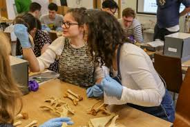 Join us Behind the Scenes at the Oxford University Museum of Natural History