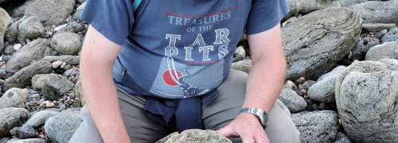 Folkestone’s Footprints: Walking Where Dinosaurs Once Walked