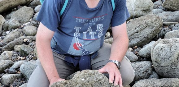 Folkestone’s Footprints: Walking Where Dinosaurs Once Walked