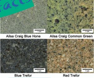 The four types of curling stones (c) Derek Leung