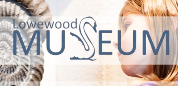 Rockwatchers Explore Fossils, Dinosaurs and Museum Treasures This Half Term