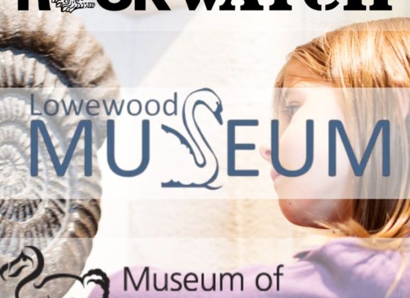 Rockwatchers Explore Fossils, Dinosaurs and Museum Treasures This Half Term