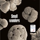 Issue 102 of Rockwatch Magazine is Here!