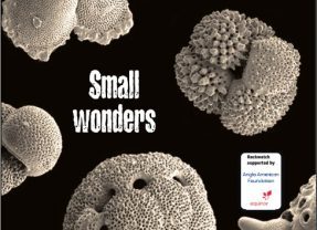 Issue 102 of Rockwatch Magazine is Here!