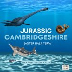 Jurassic Cambridgeshire at Fossils Galore Museum
