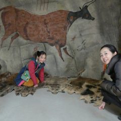 Living in the Stone Age – at Celtic Harmony